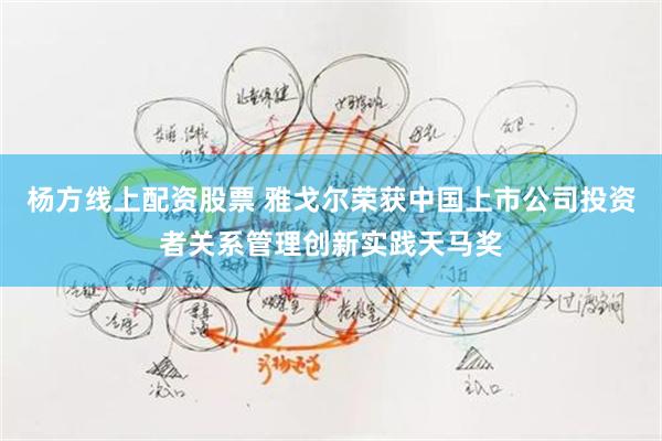 杨方线上配资股票 雅戈尔荣获中国上市公司投资者关系管理创新实践天马奖