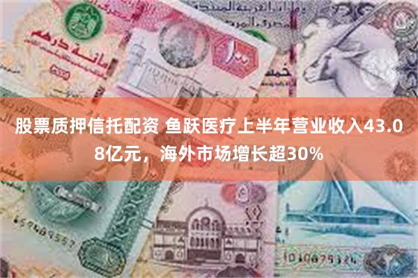 股票质押信托配资 鱼跃医疗上半年营业收入43.08亿元，海外市场增长超30%