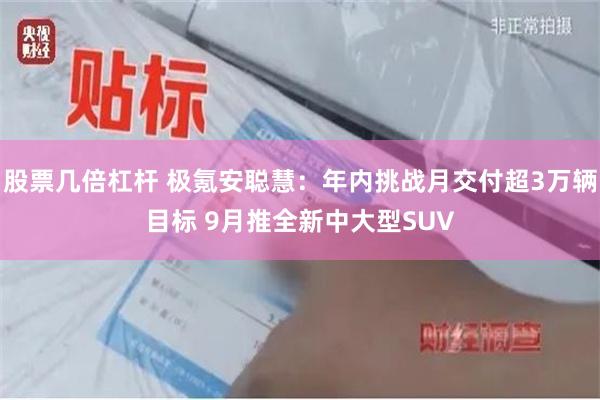 股票几倍杠杆 极氪安聪慧：年内挑战月交付超3万辆目标 9月推全新中大型SUV