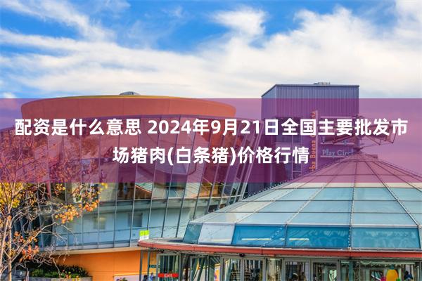 配资是什么意思 2024年9月21日全国主要批发市场猪肉(白条猪)价格行情