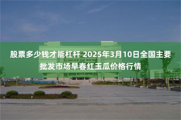 股票多少钱才能杠杆 2025年3月10日全国主要批发市场早春红玉瓜价格行情